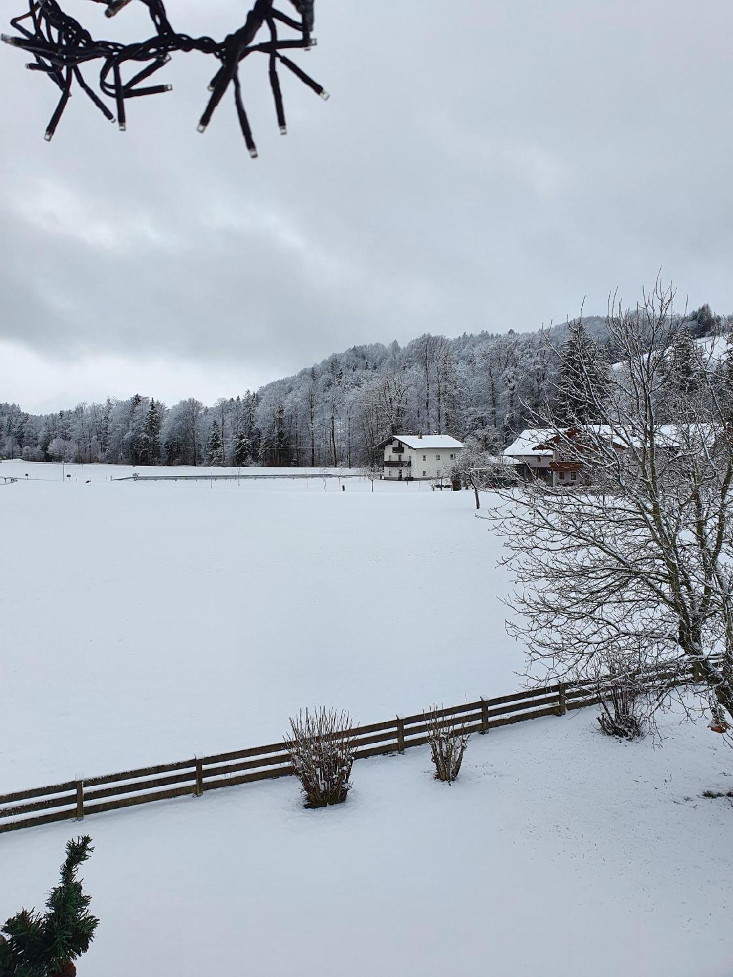 Ferienwohnungen Am Alpenrand Siegsdorf Exterior photo